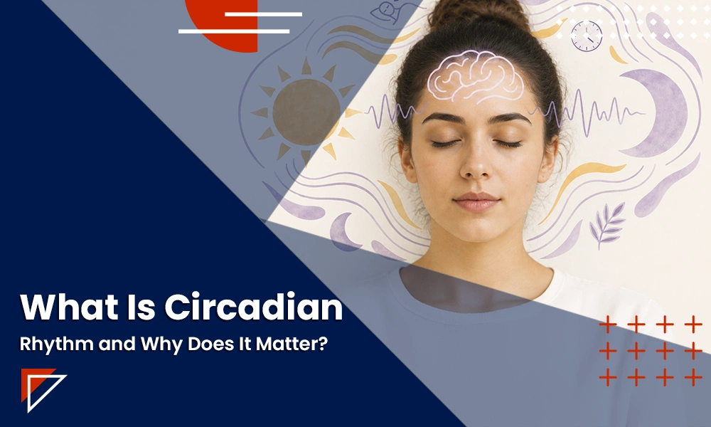 What Is Circadian Rhythm, and Why Does It Matter?